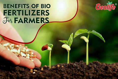 Benefits Of Bio Fertilizers For Farmers
