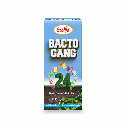 Bactogang-24-500GM