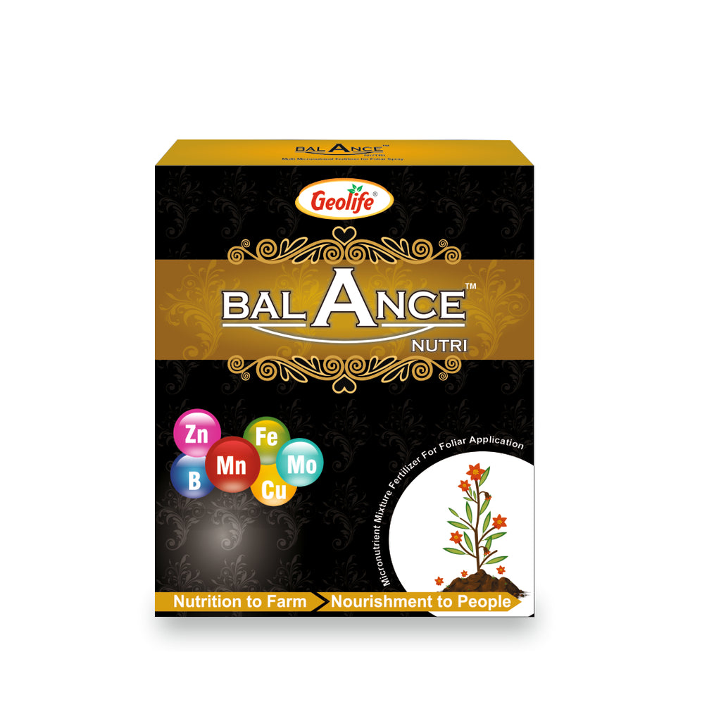 Balance Nutri 100GM