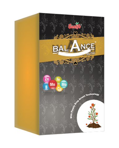Balance Nutri 100GM