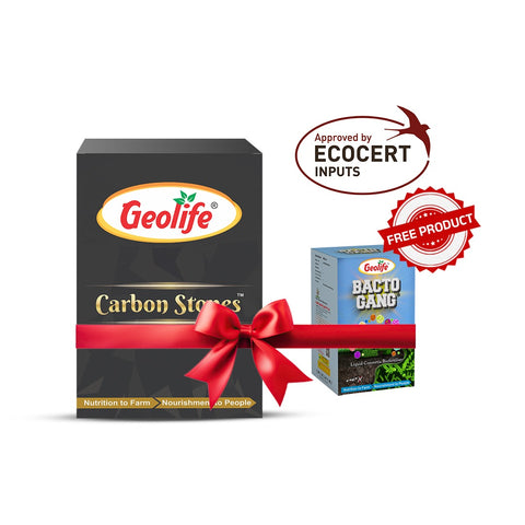 Geolife Carbon Stones 1KG