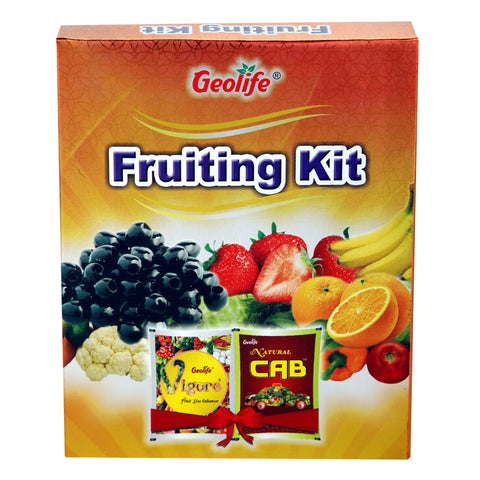 Fruiting Kit