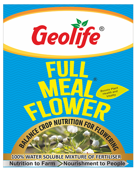 Fullmeal Flower 500gm/Acre