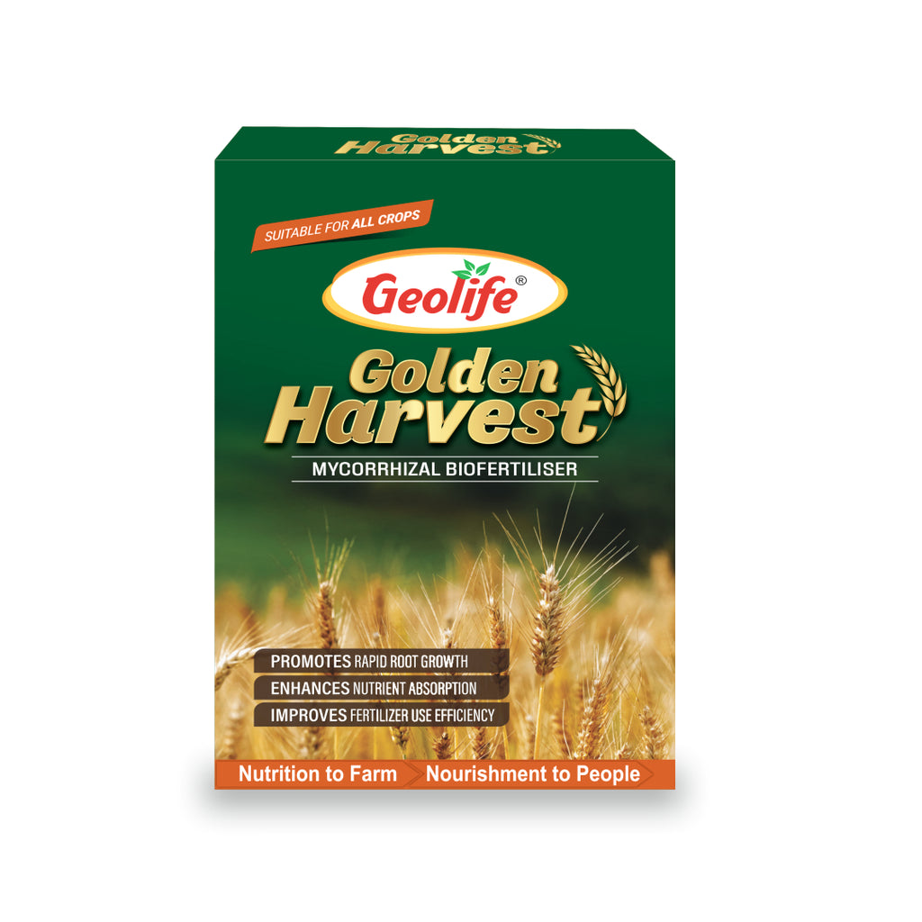 Geolife Golden Harvest Mycorrhizal Biofertiliser | Root Growth Promoter | Enhances Nutrient & Water Uptake | Improves Soil Health & Crop Performance | Organic Farming Input | 200GM