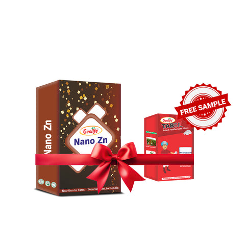 Nano Zn