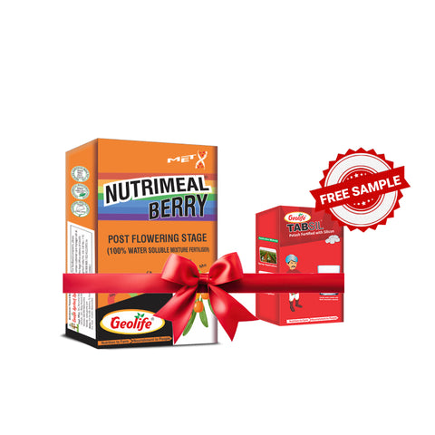 Nutrimeal Berry