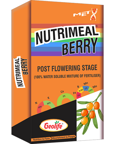 Nutrimeal Berry