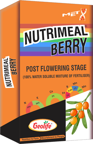 Nutrimeal Berry