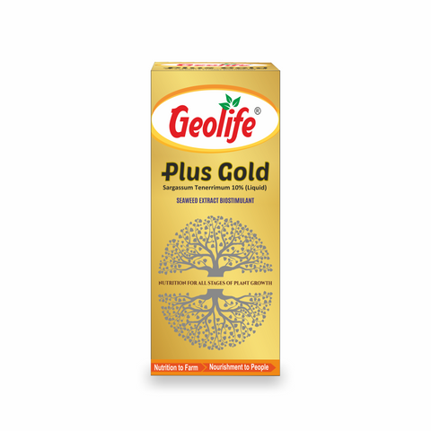 Plus Gold
