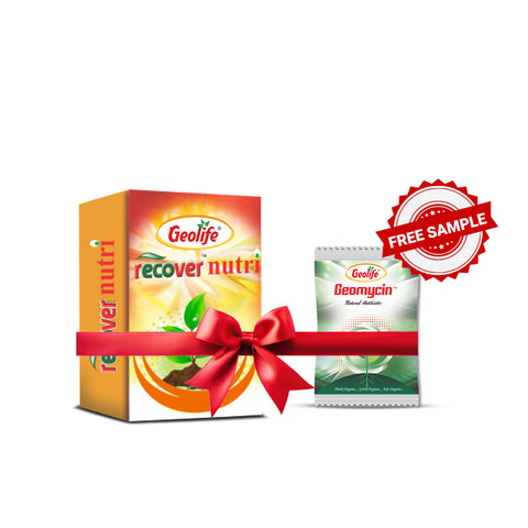 Recover Nutri