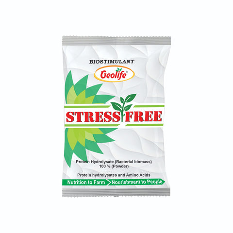 Stress Free 30*2 GM