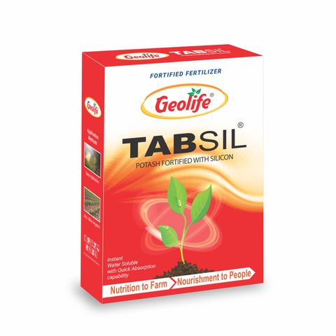 Tabsil
