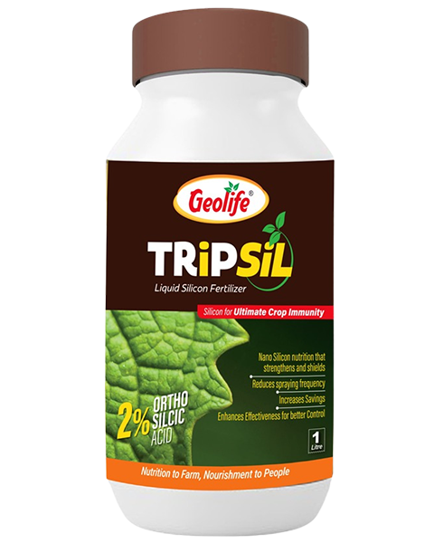 Geolife Tripsil 2% Ortho Silicic Acid