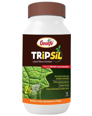 Geolife Tripsil 2% Ortho Silicic Acid