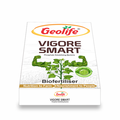 Geolife Vigore Smart Phosphate Solubilising Bacteria (PSB) Biofertiliser | Endophyte-Based Biofertilizer | Enhances Phosphorus Availability, Root Growth & Plant Vigor | 100GM