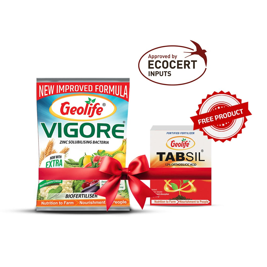 Geolife Vigore ZSB 100GM