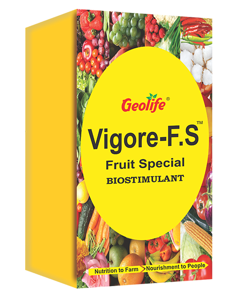 Vigore Fruit Special