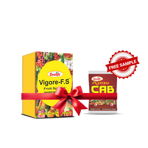 Vigore Fruit Special