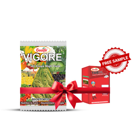 Geolife Vigore Nutrients & Bio-Stimulants