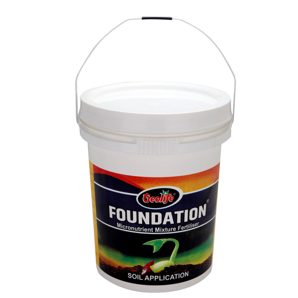 Foundation - Multi Activity Soil Conditioner