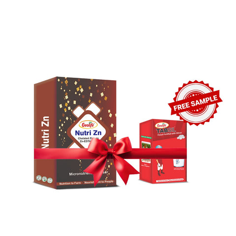 Nutri Zn