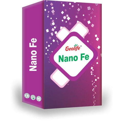 Nano Fe