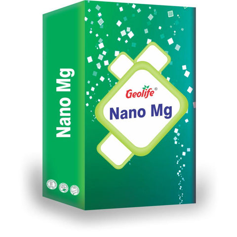 Nano Mg
