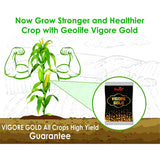Geolife Vigore Gold Organic Yeild Booster Fertilizer for Crops
