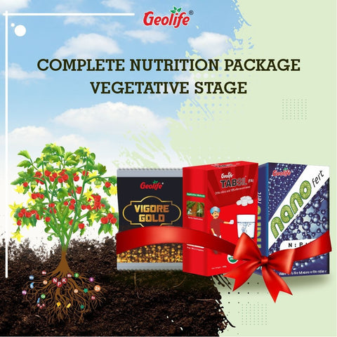 Complete Nutrition For Vegetative Stage Combo Offer