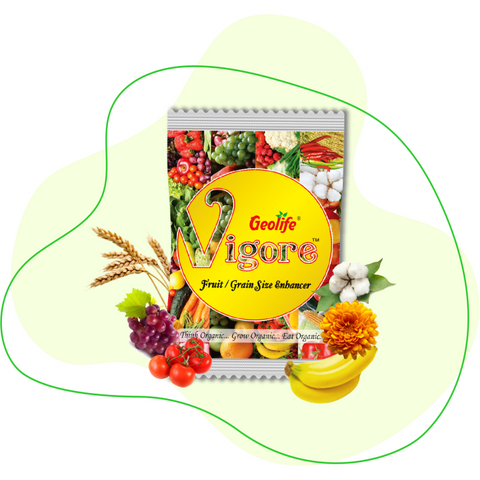 Vigore Fruit Size Enhancer - 10 Gram